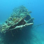 dive hurghada-dive-divier-wreck-abu nuhas-hurghada-red sea-egypt-undere